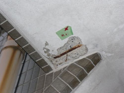 外壁の中の鉄筋が露出している。