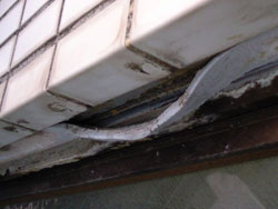 汚れ、カビや藻が繁殖している。